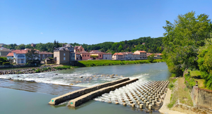 Désinsectisation dératisation Chalon-sur-Saône